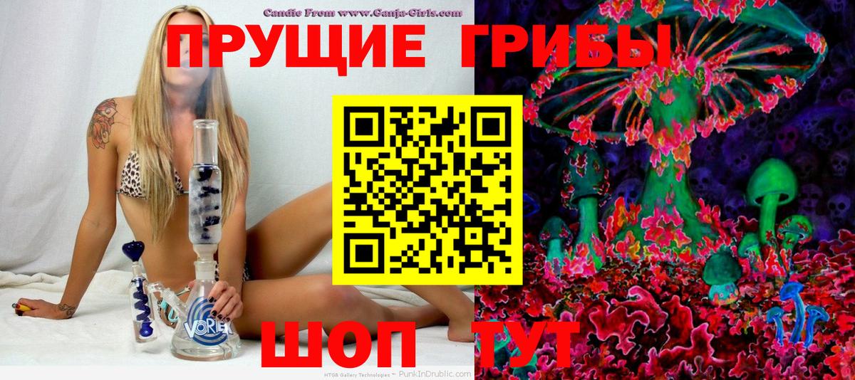 Новоалександровск  Псилоцибиновые грибы Magic Shrooms  Галлюциногенные грибы мухоморы  Вход с VPN 