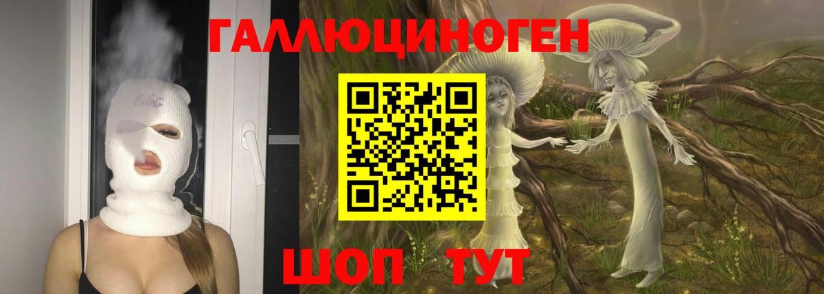Псилоцибиновые грибы мухоморы Новоалександровск